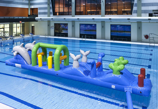 Acquista una piscina ermetica a tema delfino con oggetti ostacoli impegnativi per i bambini. Ordina ora i percorsi ad ostacoli gonfiabili online su JB Gonfiabili Italia