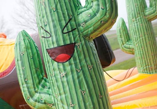 Dettaglio del cactus sul rodeo gonfiabile di tiro